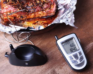 best smart meat thermometers in 224