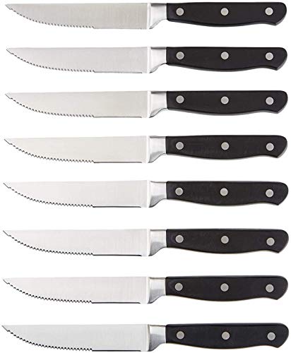 Amazon Basics Steak Knife Set