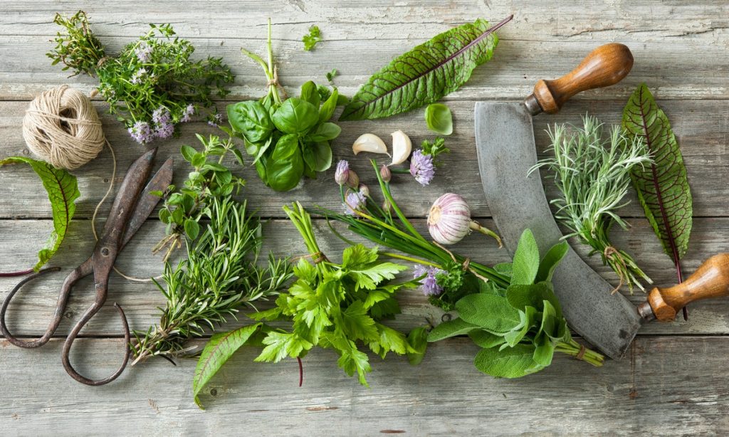 herbs for kitchen