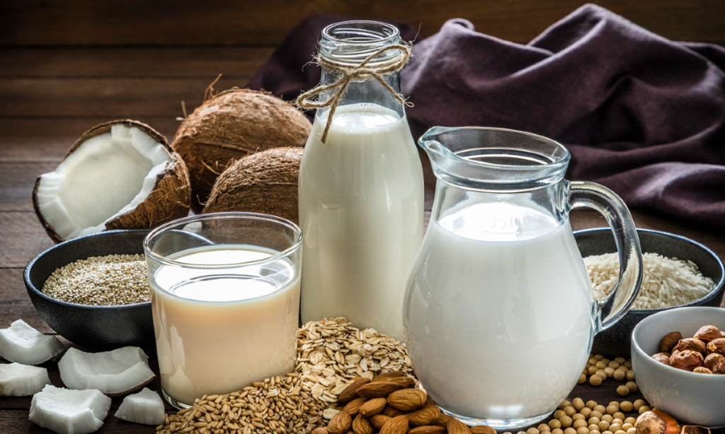 Organic Nut Milk is a great dairy substitute for your health
