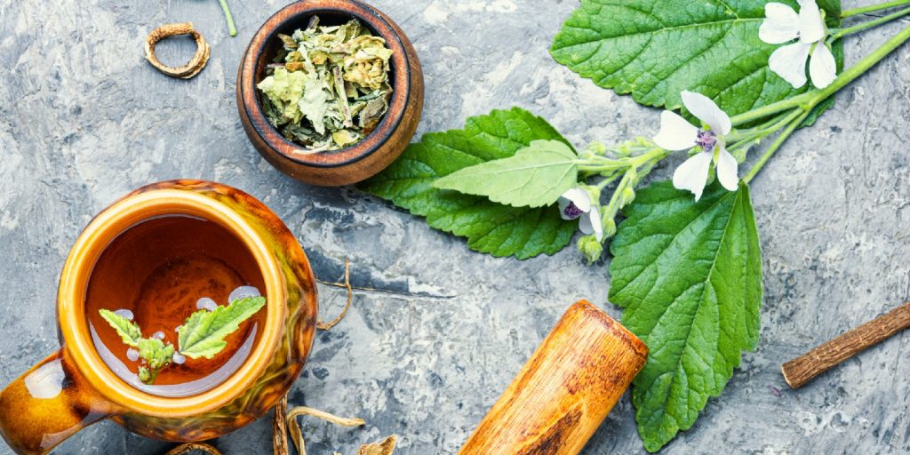 Natural herbal medicine.Medicinal tea with althaea herbs.