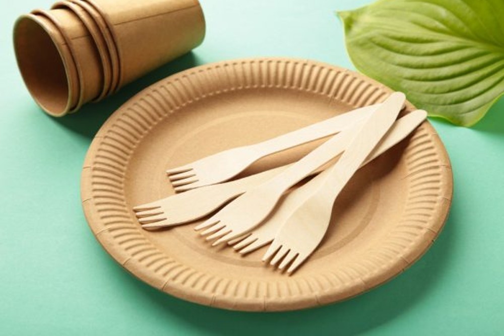 best biodegradable plate
