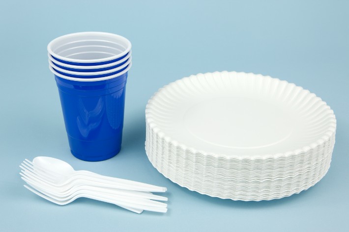 Best Plastic Dinnerware